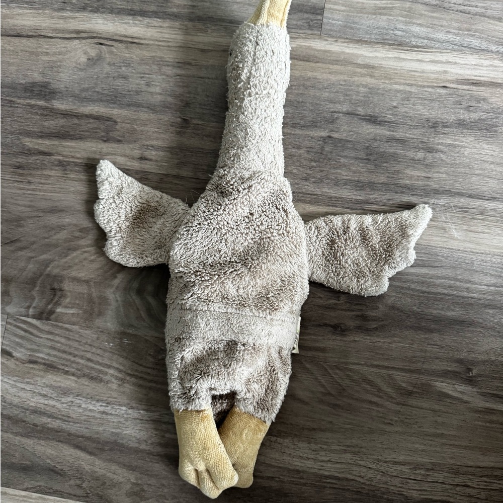Senger grey goose